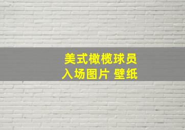 美式橄榄球员入场图片 壁纸